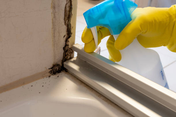 Best Mold Remediation Experts  in Creswell, OR