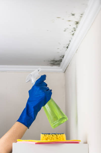 Best Office Mold Removal Services  in Creswell, OR