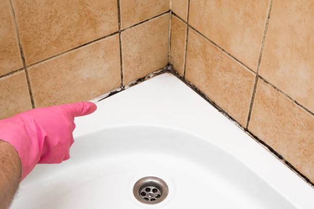 Best Toxic Mold Removal  in Creswell, OR